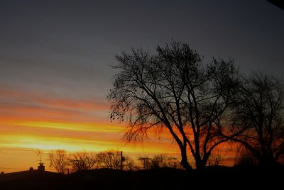 in the wee hours of december 9 ...
