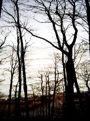 lake michigan peace...