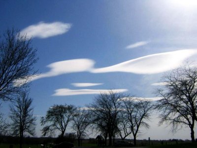 smiling clouds love sweet trees...