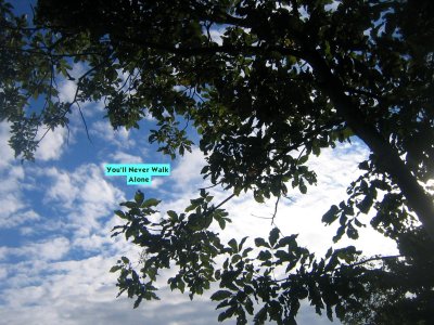 leafy mystics call...