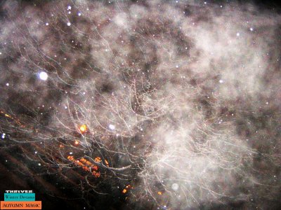 ahhhhsome autumn and whimsical winter spirits share dark december deLIGHTS