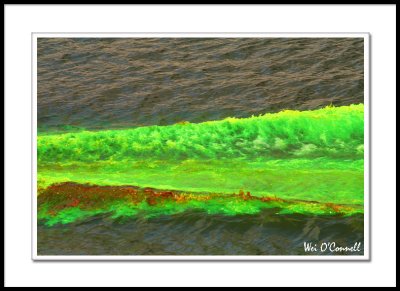 Dyeing the Chicago River