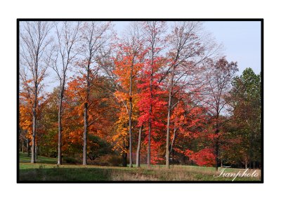 Time of Falling Leaves