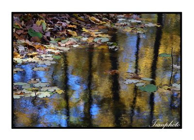 Reflections of Autumn