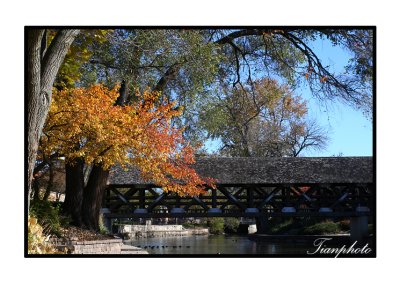 A Sunny Day At Naperville Riverwalk