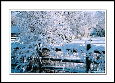 Winter - January of  2006