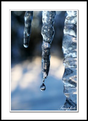 Icy Stalactites