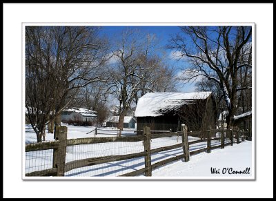 Neighbor's Old Barn