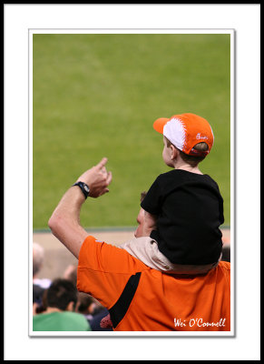 Die-hard Orioles Fan