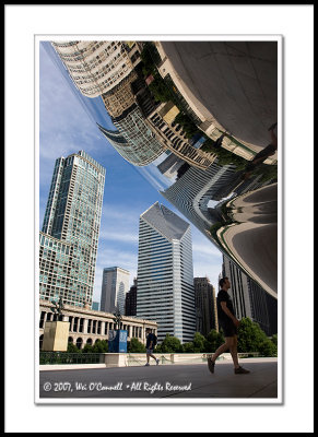 View Under The Bean