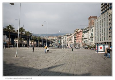 _MG_4100_f.jpg