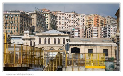 _MG_4150_f.jpg