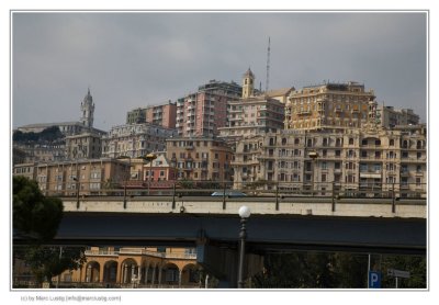 _MG_4163_f.jpg