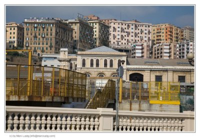 _MG_4168_f.jpg