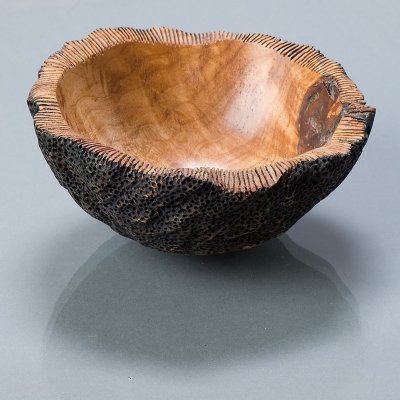 Coral bowl 3.jpg   280