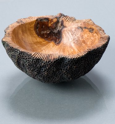 Coral bowl 4.jpg    280