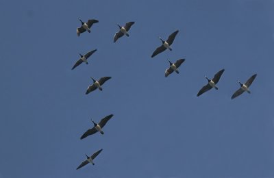 g6/55/694755/3/76336929.rQZDlj6m.jpg