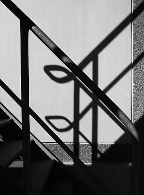 Stairs Shadow.jpg