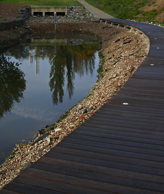 River Zenne Reflection.jpg