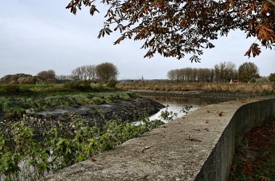 View on the River Schelde.jpg