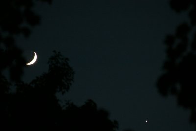 Luna & Venus 2