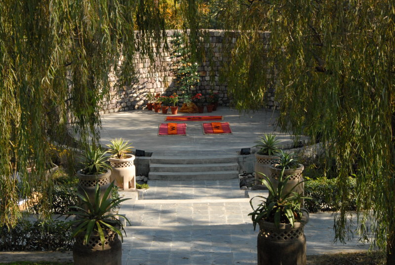 yoga class setting