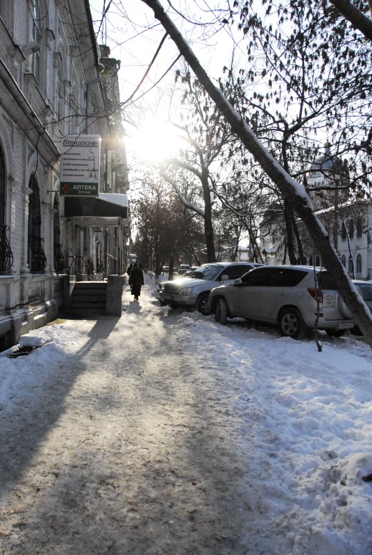 Street going to the Volga river