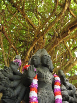 spiritual_journeys