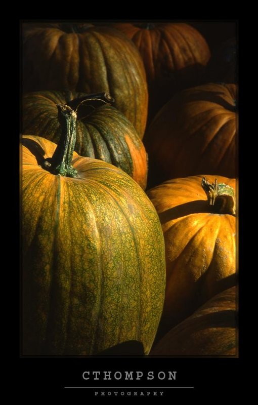 Pumpkins