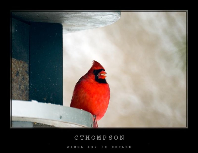 Cardinal