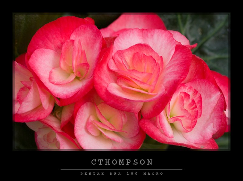 imgp678 copy.jpg