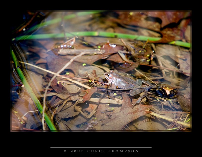 IMGP1493 copy.jpg
