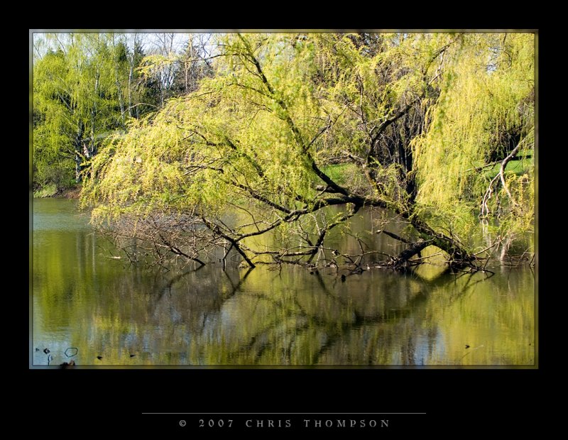 IMGP1646 copy.jpg