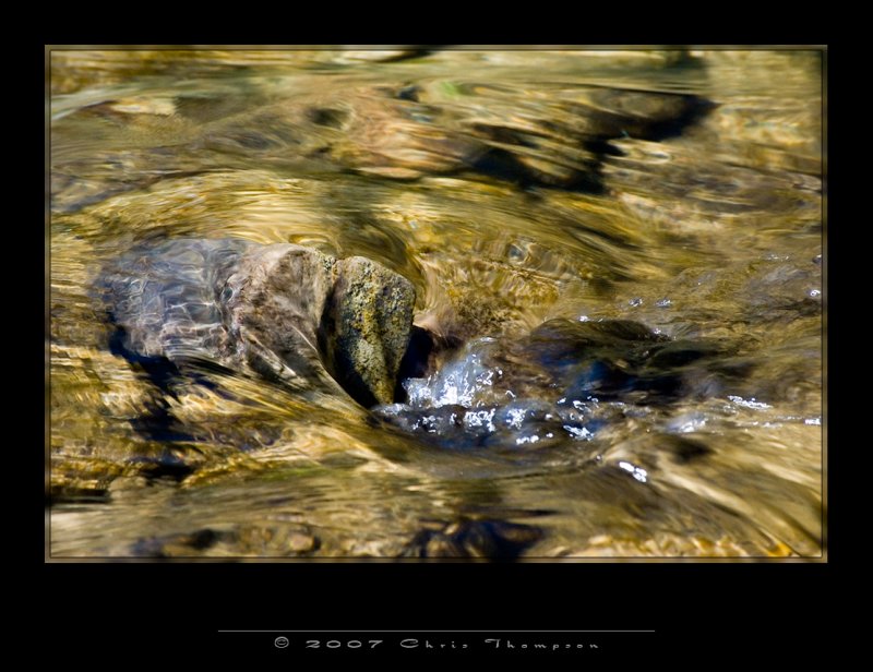 IMGP2556 copy.jpg