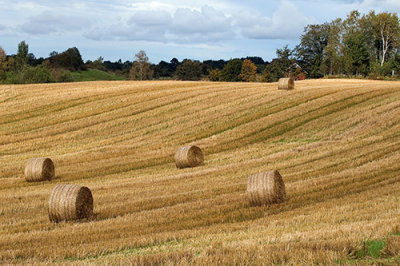 Halmbalar