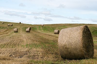 Halmbalar