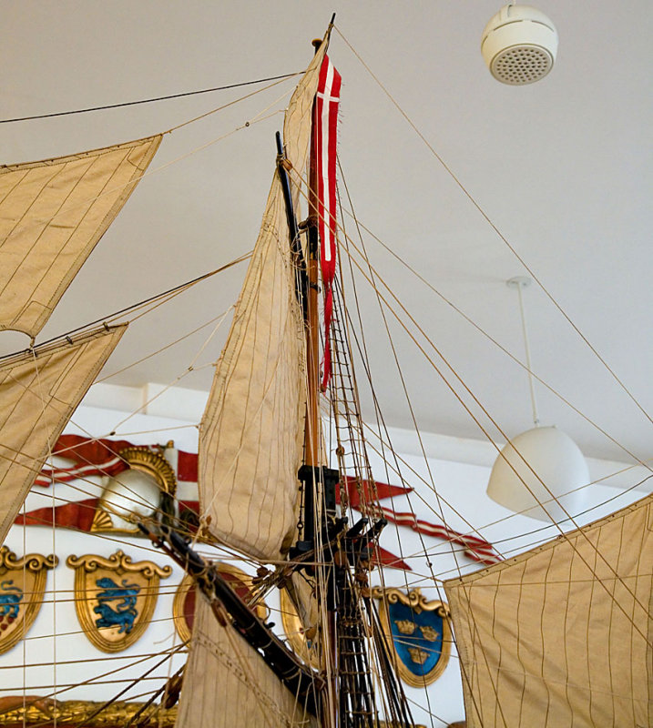 IMG_4699.jpg