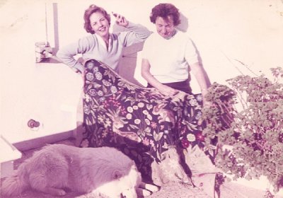 Belinda, Vanessa, Py, 1963