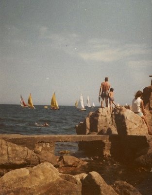 Nichols 1967 b