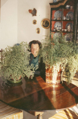Py 1967
