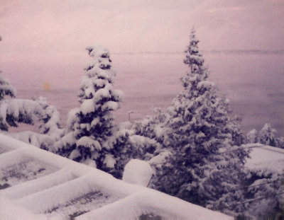 March-1985