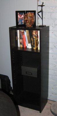 LR bookshelf.jpg