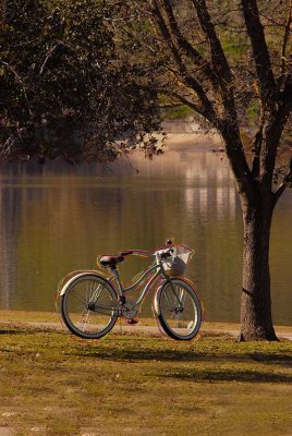 Bicycle at the Park