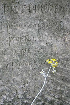 Montparnasse Cemetery