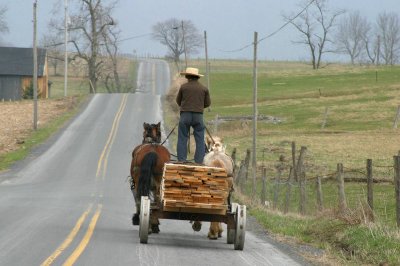 Horses20-img_8584_std.jpg