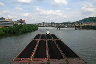 img_2383_std.jpg