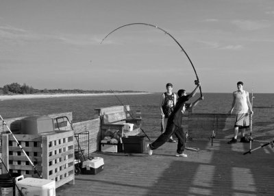 U.S. -- fishing off the pier at Venice Beach, Florida