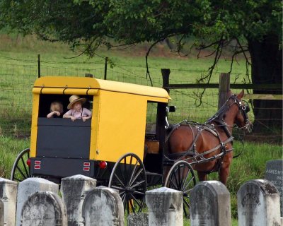 U.S. -- Amish kids in a buggy, rural Pennsylvania