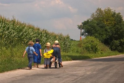 U.S. -- barefoot Amish kids with wagon, rural Ohio