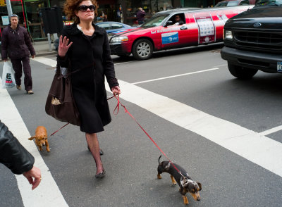 Lady with Daschunds